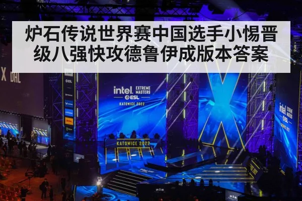 炉石传说世界赛中国选手小惕晋级八强快攻德鲁伊成版本答案
